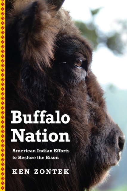 Buffalo Nation: American Indian Efforts to Restore the Bison - Ken Zontek