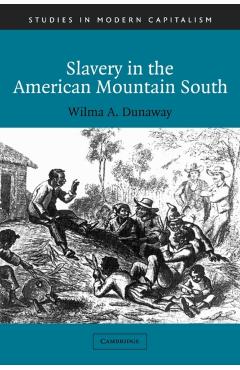 Poza produsului Slavery in the American Mountain South - Wilma A. Dunaway