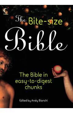 The Bite-size Bible: The story of the bible in easy-to-digest chunks - Andy Bianchi