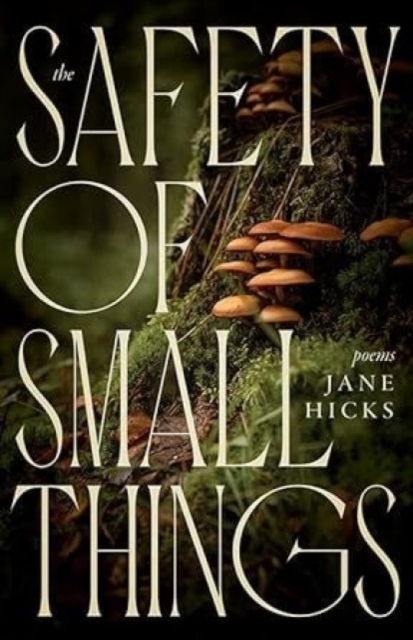 The Safety of Small Things: Poems - Jane Hicks