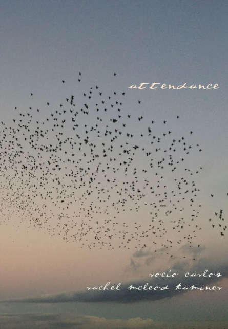 Attendance - Rocío Carlos