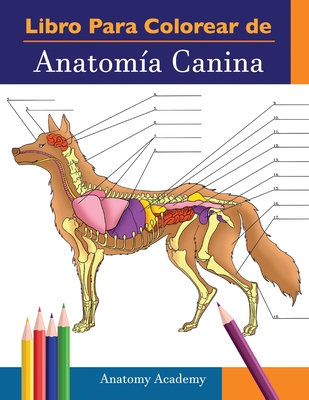 Libro para colorear de Anatomía Canina: Libro de Colores de Autoevaluación Muy Detallado de Anatomía Canina El Regalo Perfecto Para Estudiantes de Vet - Anatomy Academy