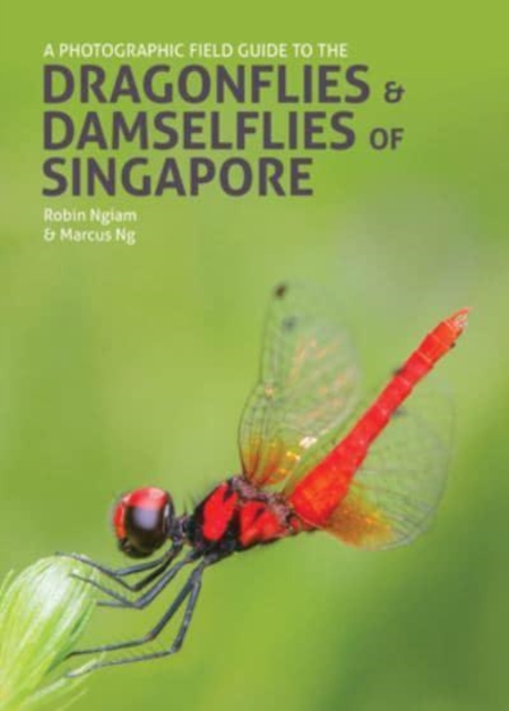 A Photographic Field Guide to the Dragonflies & Damselflies of Singapore - Robin Ngiam