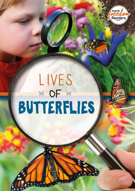 Lives of Butterflies - Holly Duhig