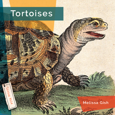 Tortoises - Melissa Gish