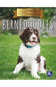 Coperta cărții 'Bernedoodles - Christina Earley'