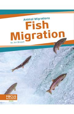 Coperta cărții 'Fish Migration - Jen Breach'