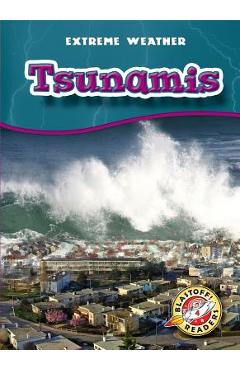 Coperta cărții 'Tsunamis - Anne Wendorff'