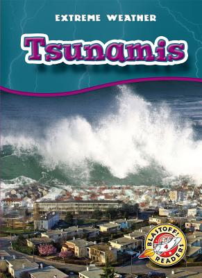 Tsunamis - Anne Wendorff