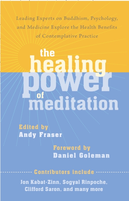 The Healing Power of Meditation: Leading Experts on Buddhism, Psychology, and Medicine Explore the Health Benefits of Contemplative Practice - Andy Fraser