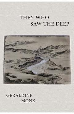 Coperta cărții 'They Who Saw the Deep - Geraldine Monk'