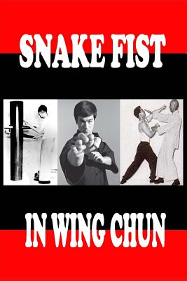 Snake fist in wing chun - Semyon Neskorodev