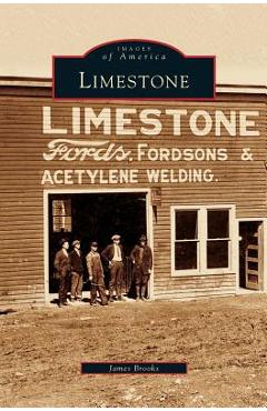 Coperta cărții 'Limestone - James Brooks'