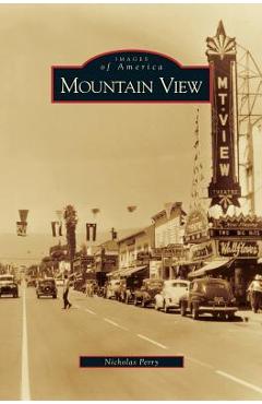 Coperta cărții 'Mountain View - Nicholas Perry'