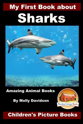 My First Book about Sharks - Amazing Animal Books - Children's Picture Books - John Davidson