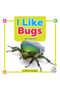 Coperta cărții 'I Like Bugs: The Sound of B - Alice K. Flanagan'