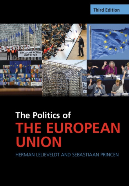 The Politics of the European Union - Herman Lelieveldt