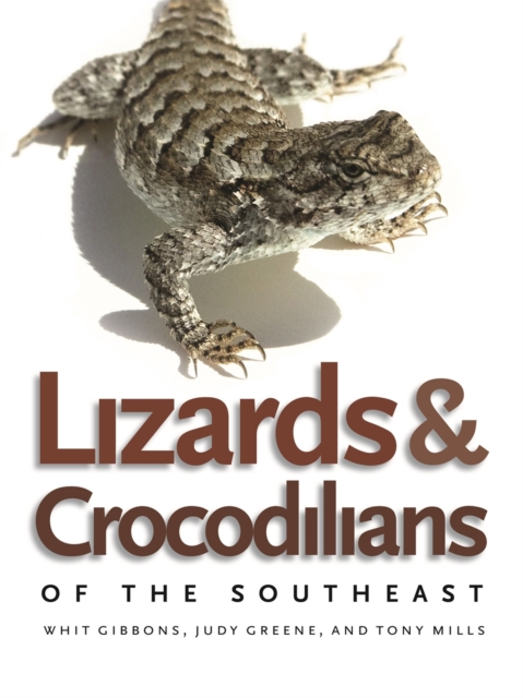 Lizards and Crocodilians of the Southeast - Judy Greene
