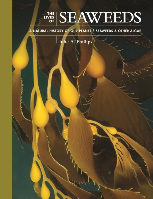 The Lives of Seaweeds: A Natural History of Our Planet's Seaweeds and Other Algae - Julie A. Phillips