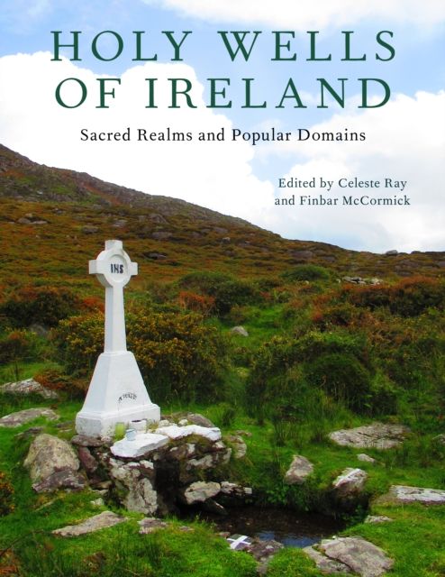 Holy Wells of Ireland: Sacred Realms and Popular Domains - Celeste Ray