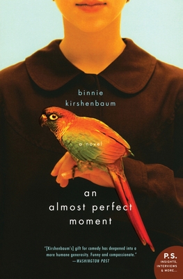 An Almost Perfect Moment - Binnie Kirshenbaum
