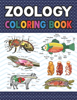 Zoology Coloring Book: Animal Anatomy Learning Workbook. Zoology Coloring Book. Kids Anatomy Coloring Book. Zoology Coloring Book for Men & W - Darjeylone Publication