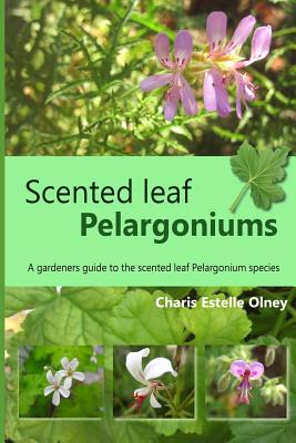 Scented leaf pelargoniums: A gardeners guide to the scented leaf pelargonium species - Charis Estelle Olney