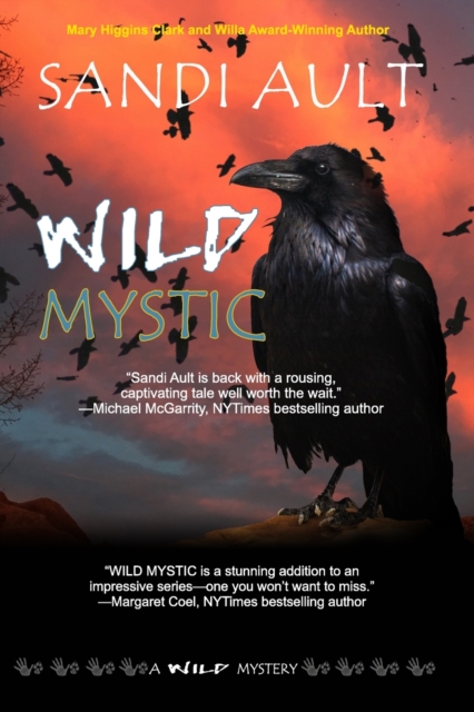 Wild Mystic - Sandi Ault