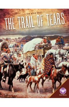 Coperta cărții 'Trail of Tears - Amy C. Rea'
