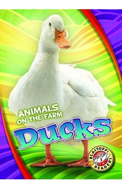 Coperta cărții 'Ducks - Kari Schuetz'