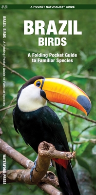 Brazil Birds: A Folding Pocket Guide to Familiar Species - James Kavanagh