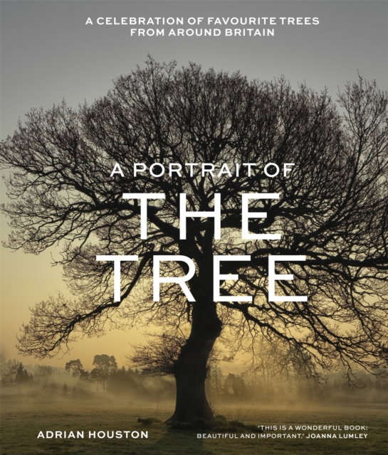 A Portrait of the Tree: A Celebration of Favourite Trees from Around Britain - Adrian Houston