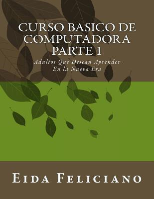 Curso Basico De Computadora: Para Adultos Con Deseos De Aprender - Eida Feliciano