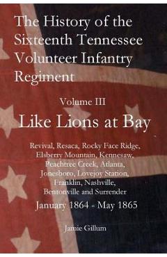 The History of the Sixteenth Tennessee Volunteer Infantry Regiment: Like Lions at Bay - Jamie Gillum