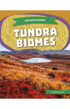 Poza produsului Tundra Biomes - Clara Maccarald