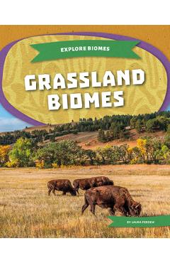 Grassland Biomes