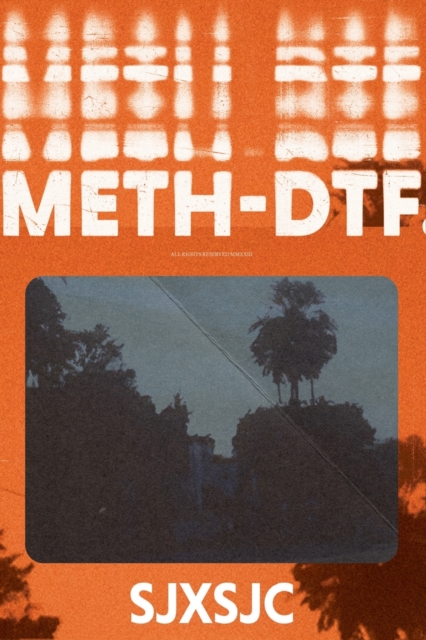 Meth-DTF. - Shane Jesse Christmass
