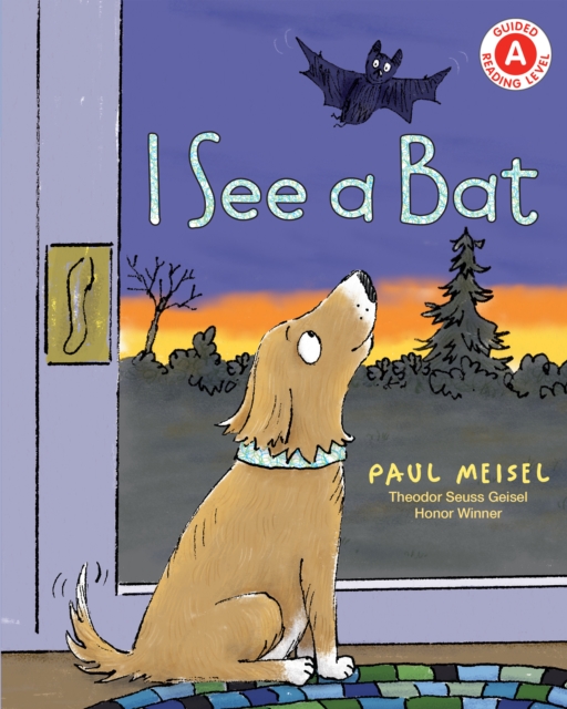 I See a Bat - Paul Meisel