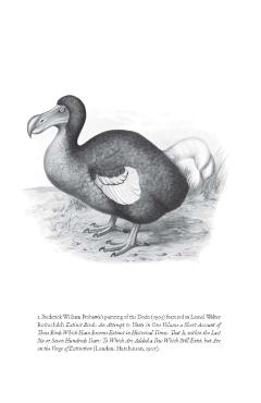 Coperta cărții 'Flock Together: A Love Affair with Extinct Birds - B. J. Hollars'