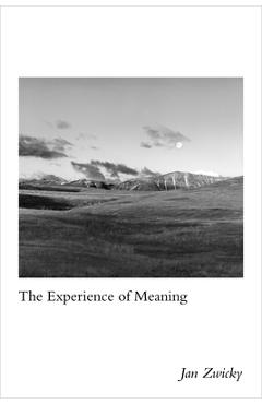 Coperta cărții 'Experience of Meaning - Jan Zwicky'