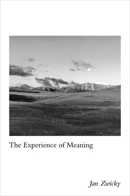 Coperta cărții 'Experience of Meaning - Jan Zwicky'