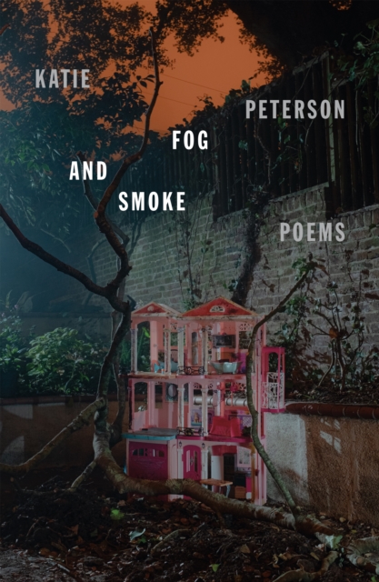 Fog and Smoke: Poems - Katie Peterson