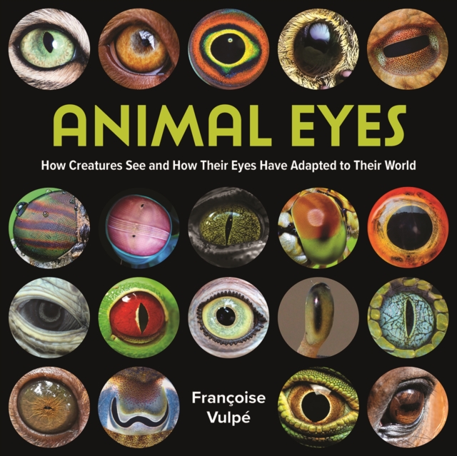 Animal Eyes: How Creatures See and How Their Eyes Have Adapted to Their World - Franoise Vulp