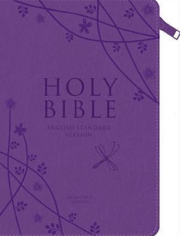 Esv Compact Bible Purple