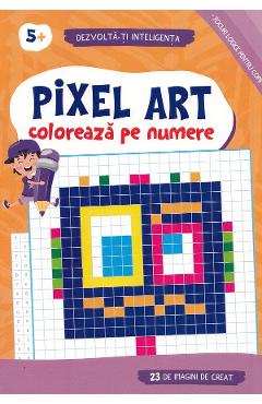 Pixel Art. Coloreaza pe numere 5+