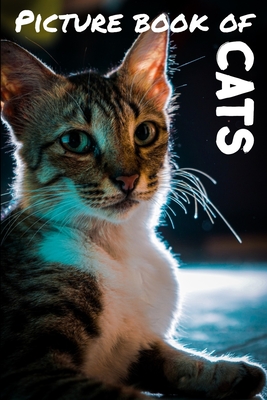 Picture book of cats: Photos of cats - Calming book for kids and seniors - Perfect picture book for seniors with dementia or Alzheimer - 6 x - Relaxing Pictures
