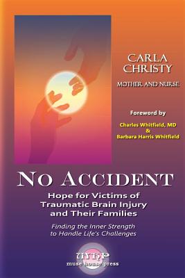 No Accident: Hope for Victims of Traumatic Brain Injury and Their Families - Carla Christy