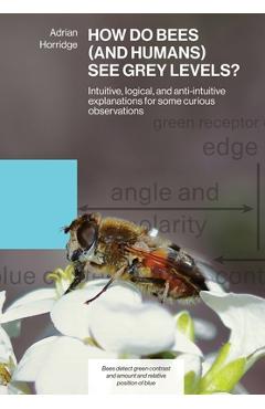 Coperta cărții 'How Do Bees (and Humans) See Grey Levels?: Intuitive, logical, and anti-intuitive explanations for some curious'
