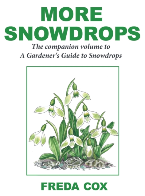 More Snowdrops - Freda Cox