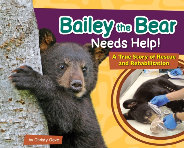 Bailey the Bear Needs Help!: A True Story of Rescue and Rehabilitation - Christy Gove